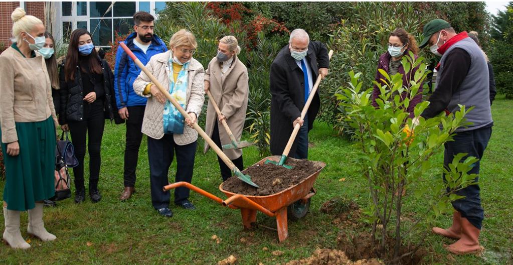 GRÜ, Kadına Yönelik Şiddetle Mücadele Günü Kapsamında Fidan Dikti