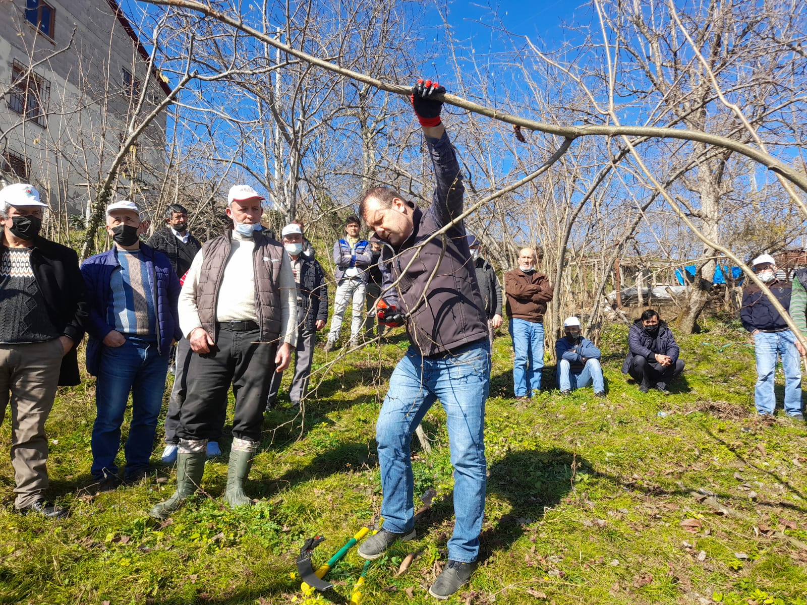 Üreticilere Fındıkta Budama ve Gübreleme Eğitimi Verildi