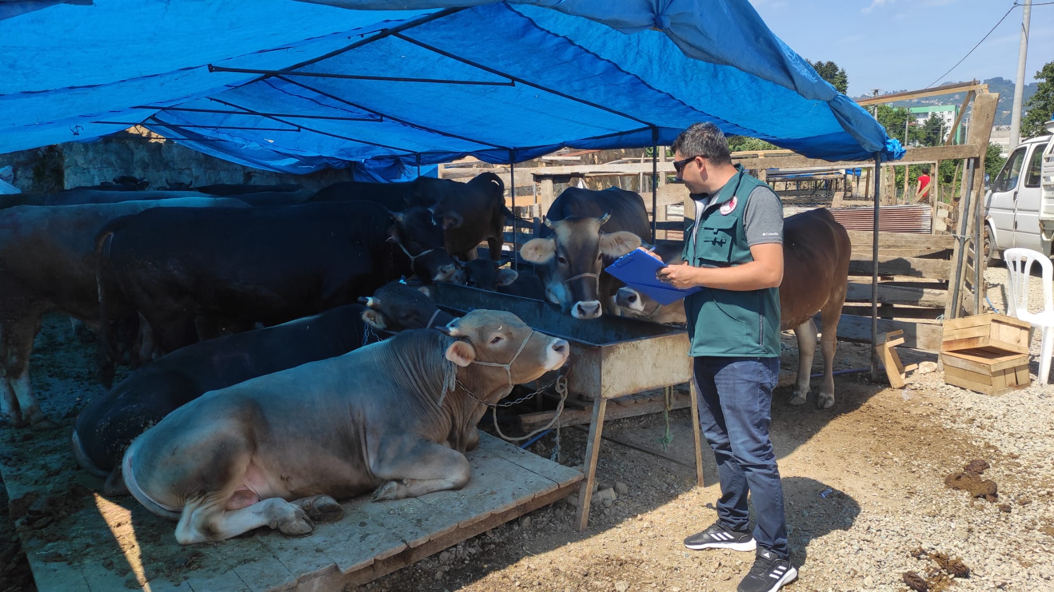 Kurban Satış Yerlerinde Gerekli Tedbirler Alınıyor