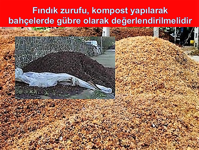 “Fındık zurufu, kompost yapılarak bahçelerde gübre olarak değerlendirilmelidir”