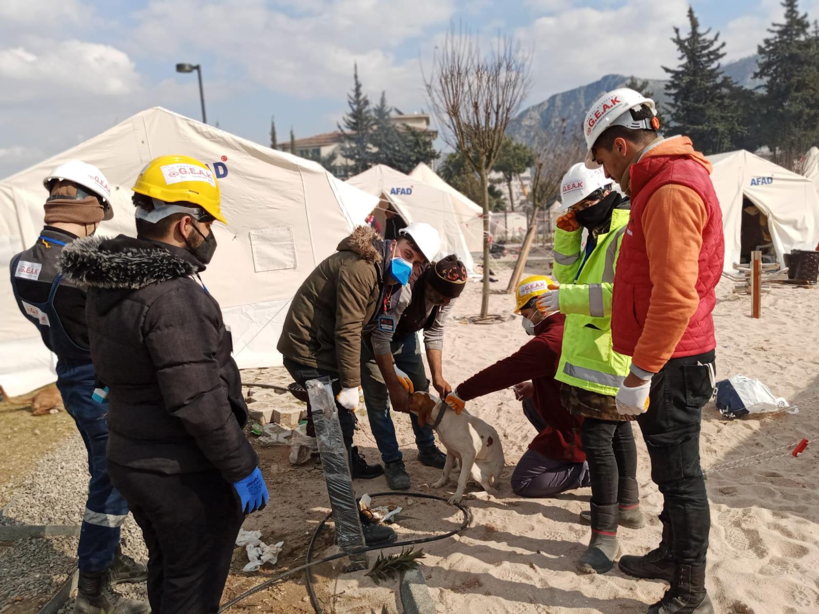 Veterinerlik Öğrencilerinden Deprem Bölgesinde Anlamlı Hizmet
