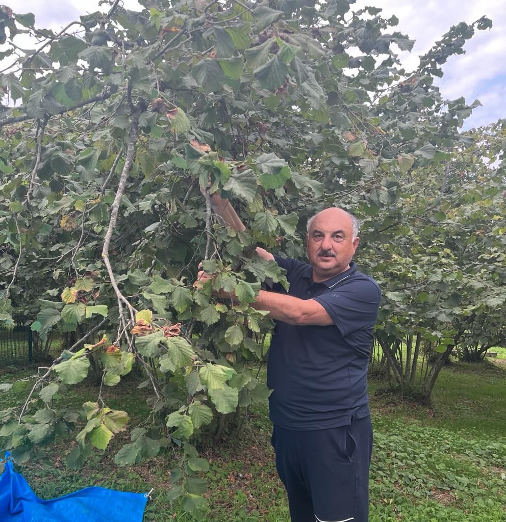 Başkan Uzunalioğlu; “Fındık Fiyatı En Az 110 TL Olmalıdır”