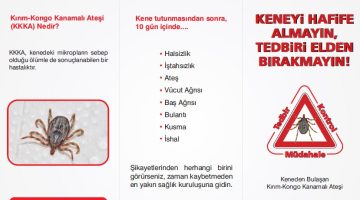 2024/109 Giresun İl Sağlık Müdürlüğü- Kırım Kongo Kanamalı Ateşi (KKKA)