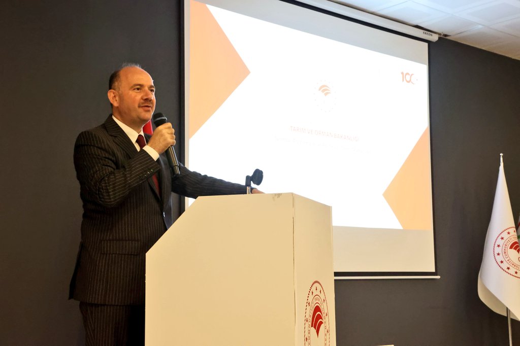 Fındık Fidanları Toprakla Buluştu