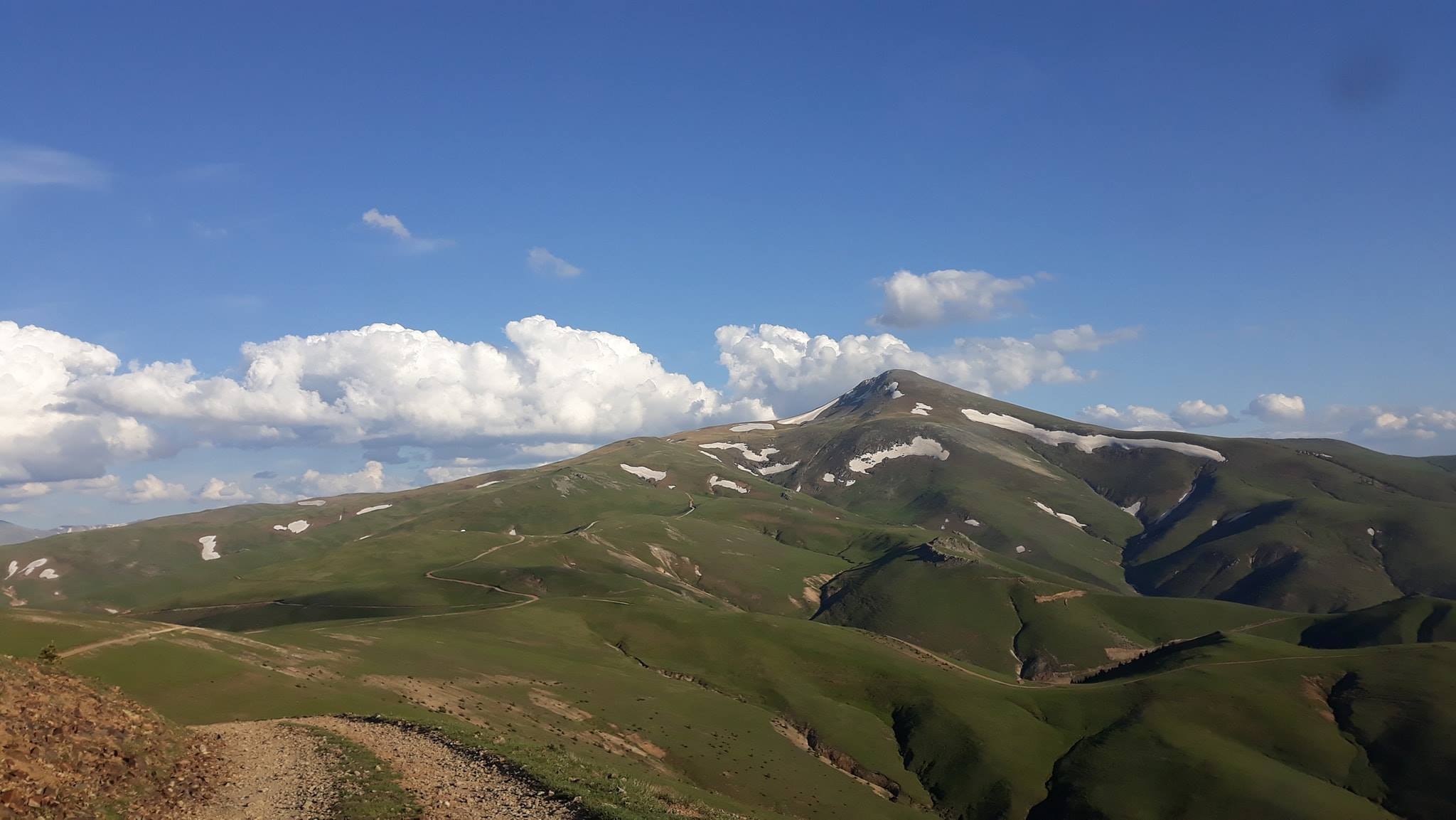 GELEN HAYRANLIK DUYUYOR
