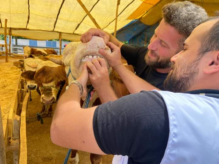 KURBAN SATICILARI, YURT DIŞI KURBAN BAĞIŞLARININ UCUZ OLMASINDAN VE MARKETLERİN DE KURBAN ETİ SATIŞINDAN ŞİKAYETÇİ