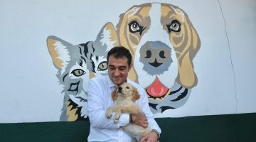 BELEDİYE BAŞKANI FUAT KÖSE’DEN SOKAK HAYVANLARI YASASINA TEPKİ