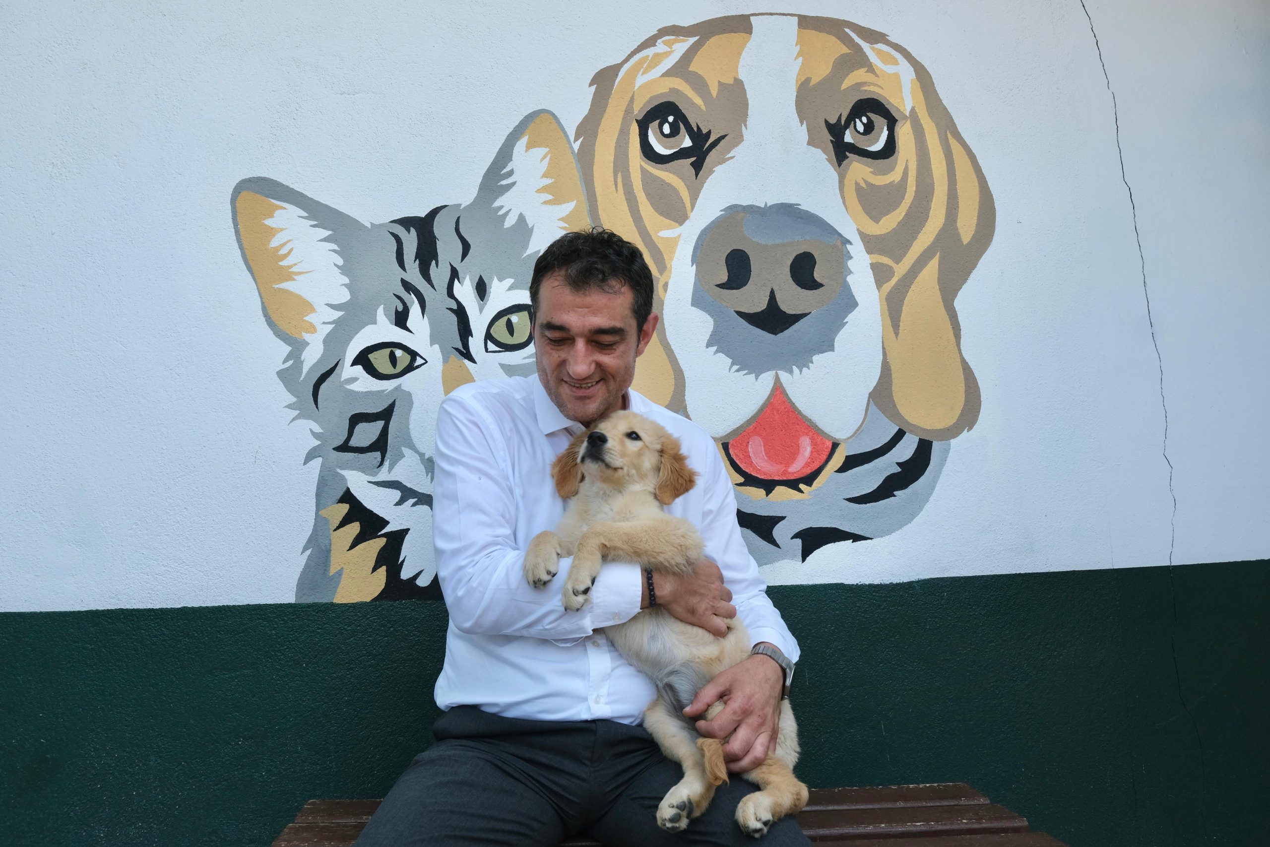 BELEDİYE BAŞKANI FUAT KÖSE’DEN SOKAK HAYVANLARI YASASINA TEPKİ