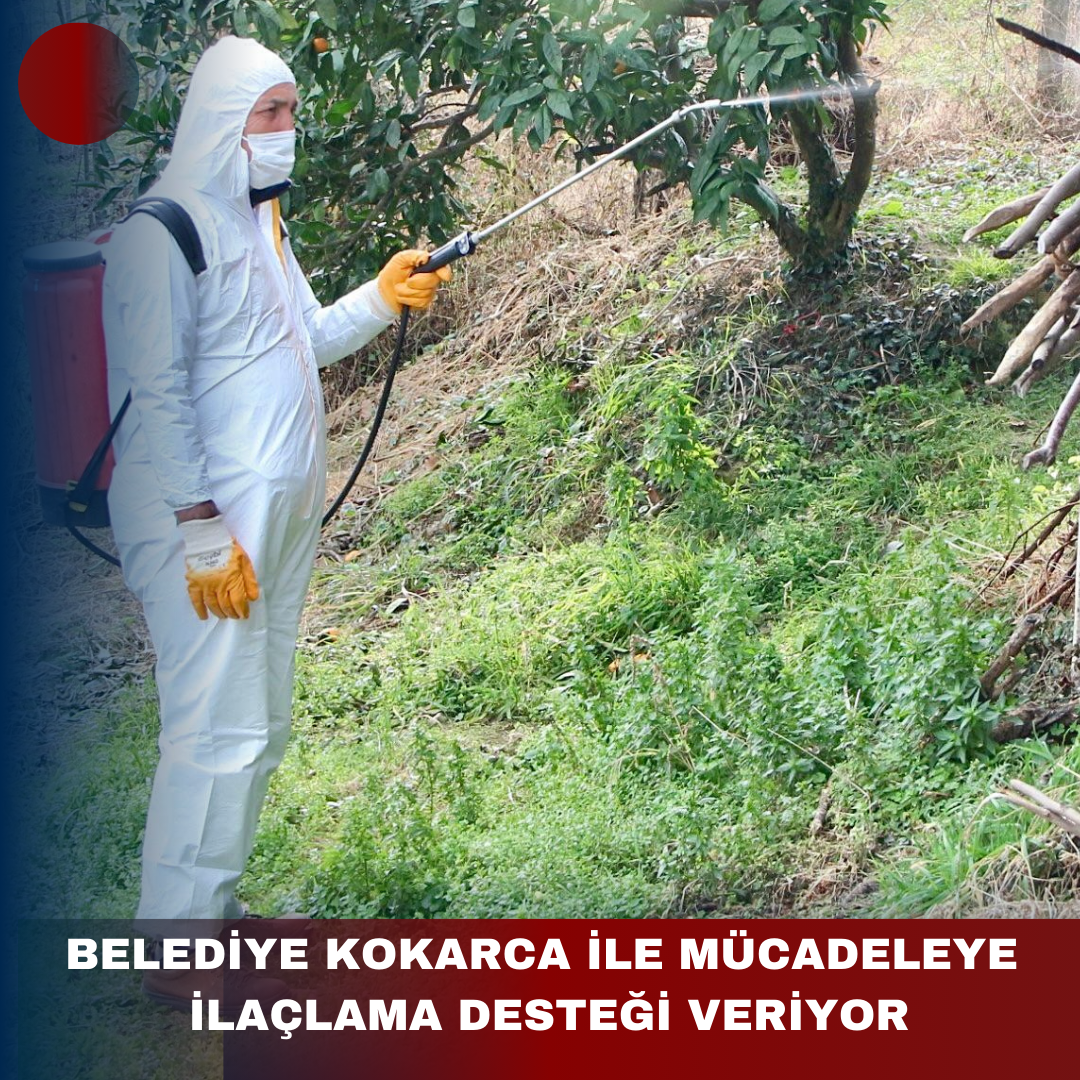 BELEDİYE KOKARCA İLE MÜCADELEYE İLAÇLAMA DESTEĞİ VERİYOR