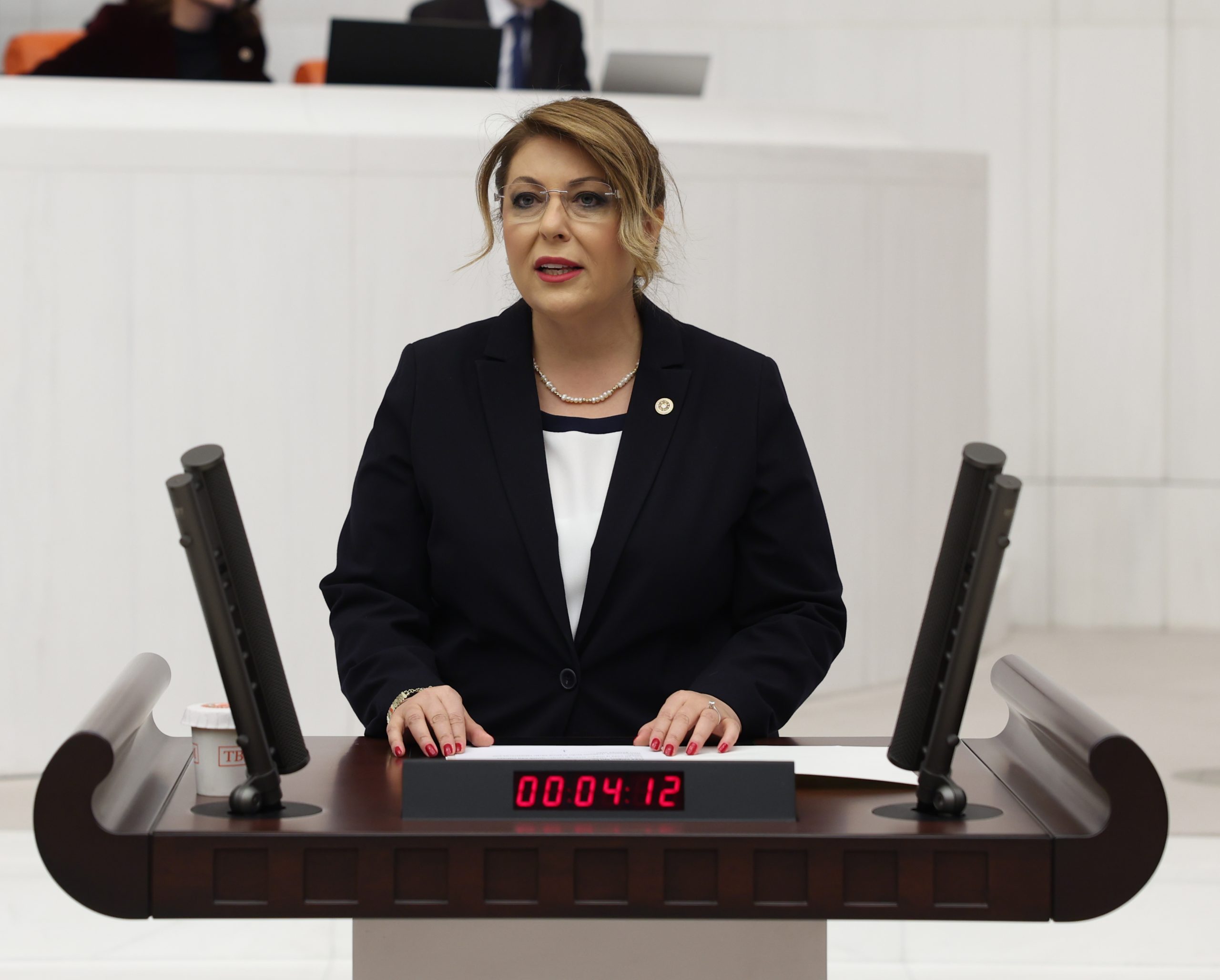 MİLLETVEKİLİ GEZMİŞ SORUNLARI TBMM’YE TAŞIYOR