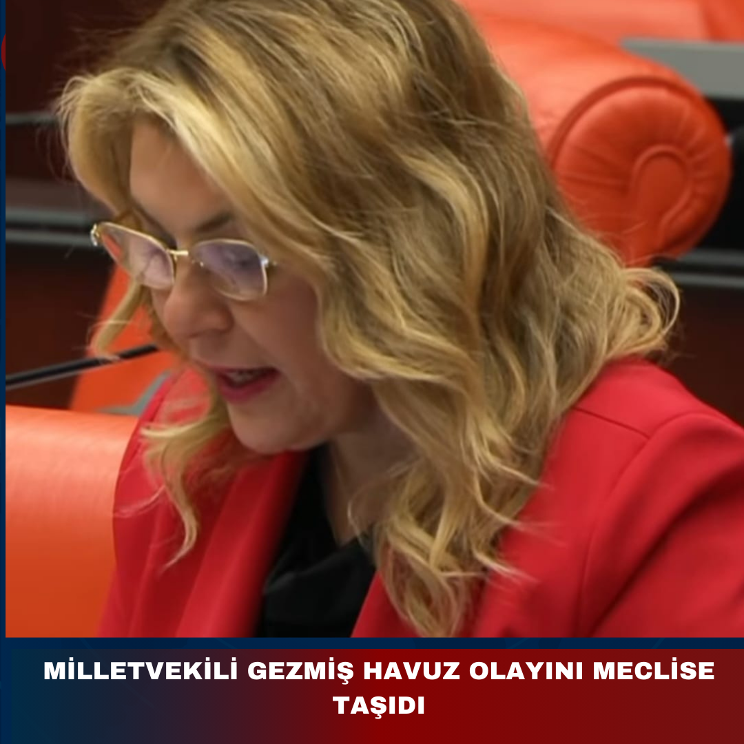 MİLLETVEKİLİ GEZMİŞ HAVUZ OLAYINI MECLİSE TAŞIDI