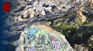 SPREY BOYALI BU KAYA DİKKAT ÇEKİYOR