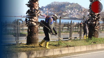 BAKIM VE TEMİZLİK ÇALIŞMALARI ŞEHİR GENELİNDE SÜRÜYOR