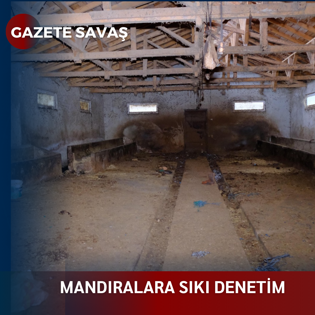 MANDIRALARA SIKI DENETİM