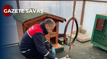 GİRESUN’DAN SOKAK HAYVANLARI İÇİN BÜYÜK ATILIM: MAMA ÜRETİMİ 5 KATINA ÇIKTI