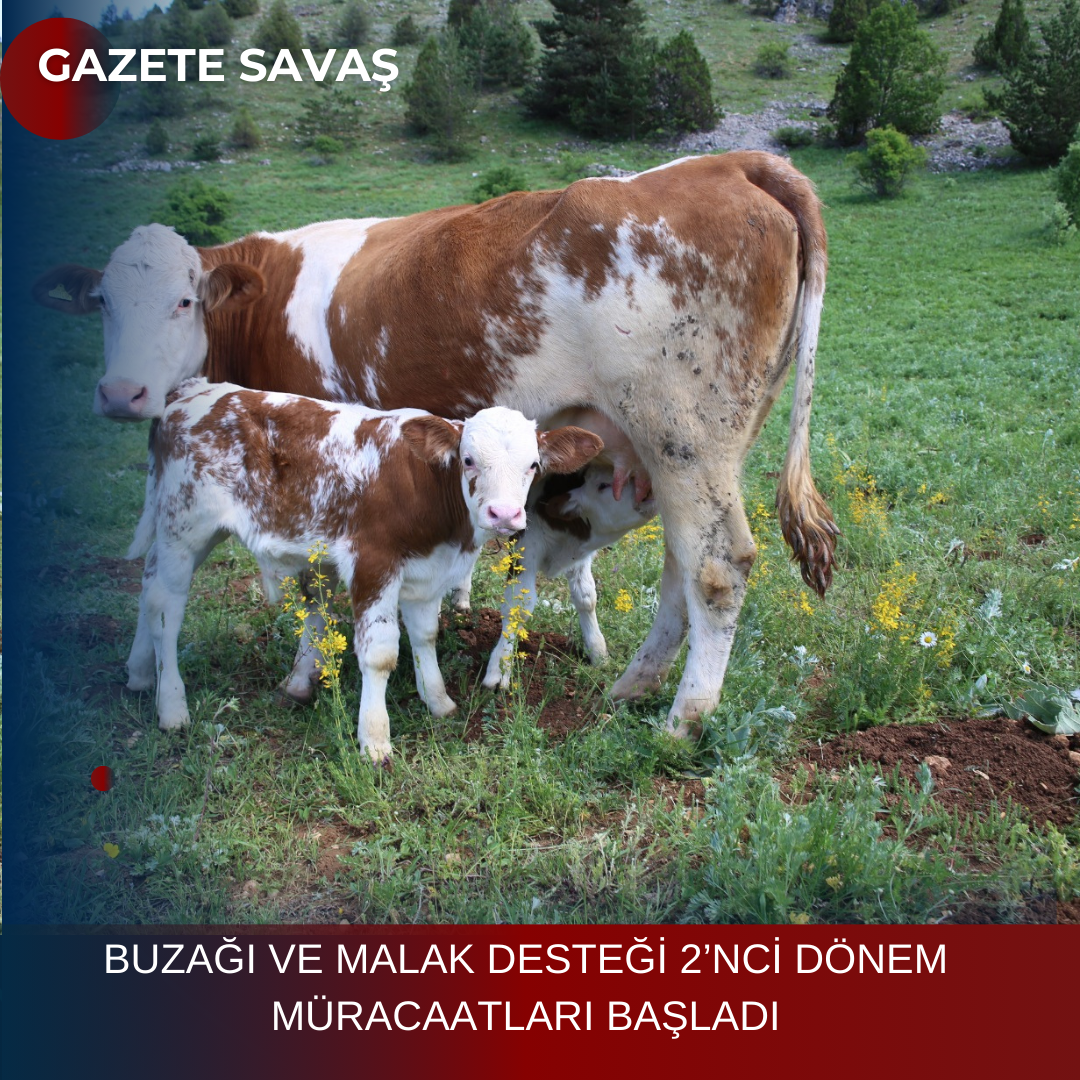 BUZAĞI VE MALAK DESTEĞİ 2’NCİ DÖNEM MÜRACAATLARI BAŞLADI