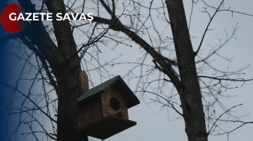 KEDİ EVLERİNDEN SONRA KUŞ EVLERİ