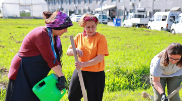 BULANCAK BELEDİYESİ’nden ATA TOHUM ÇALIŞMALARINA DESTEK