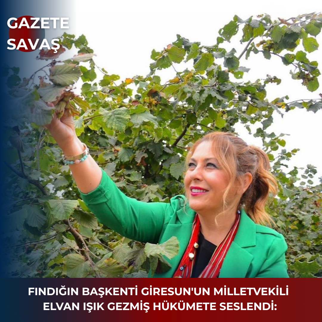 FINDIĞIN BAŞKENTİ GİRESUN’UN MİLLETVEKİLİ ELVAN IŞIK GEZMİŞ HÜKÜMETE SESLENDİ: