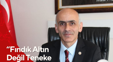 “FINDIK ALTIN DEĞİL TENEKE ÇAĞINI YAŞIYOR!”
