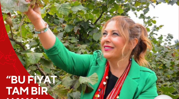 Milletvekili Elvan IŞIK GEZMİŞ, 195 lira olarak açıklanan fındık taban fiyatına tepki gösterdi: