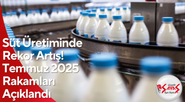 Süt Üretiminde Rekor Artış! Temmuz 2025 Rakamları Açıklandı