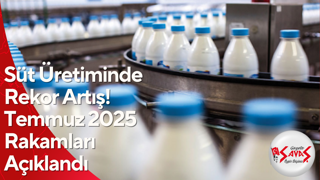 Süt Üretiminde Rekor Artış! Temmuz 2025 Rakamları Açıklandı
