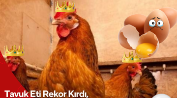 Tavuk Eti Rekor Kırdı, Yumurtada Düşüş Şaşırttı
