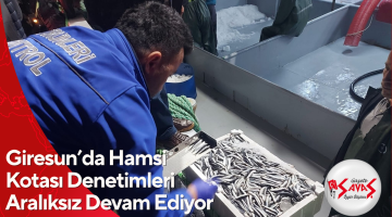 Giresun’da Hamsi Kotası Denetimleri Aralıksız Devam Ediyor
