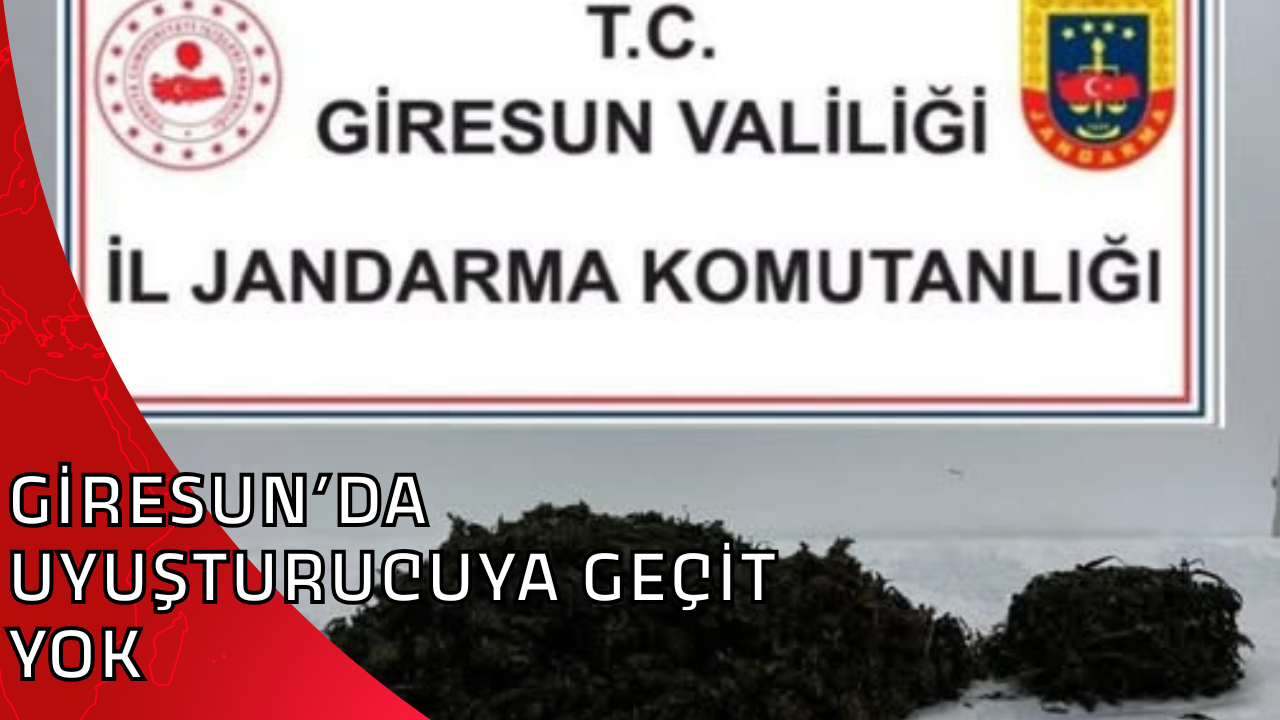 GİRESUN’DA UYUŞTURUCUYA GEÇİT YOK