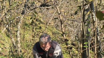 BULANCAK’TA ÇİFTÇİLERE KİREÇLEME VE GÜBRELEME UYGULAMASI GÖSTERİLDİ