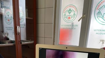 GİRESUN BELEDİYESİ’NDEN SOKAK HAYVANLARI İÇİN SAĞLIK YATIRIMI