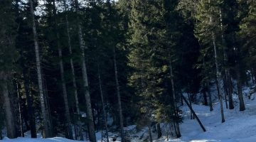 GİDOSK’TAN HAFTA SONUNA ÇİFTE ETKİNLİK